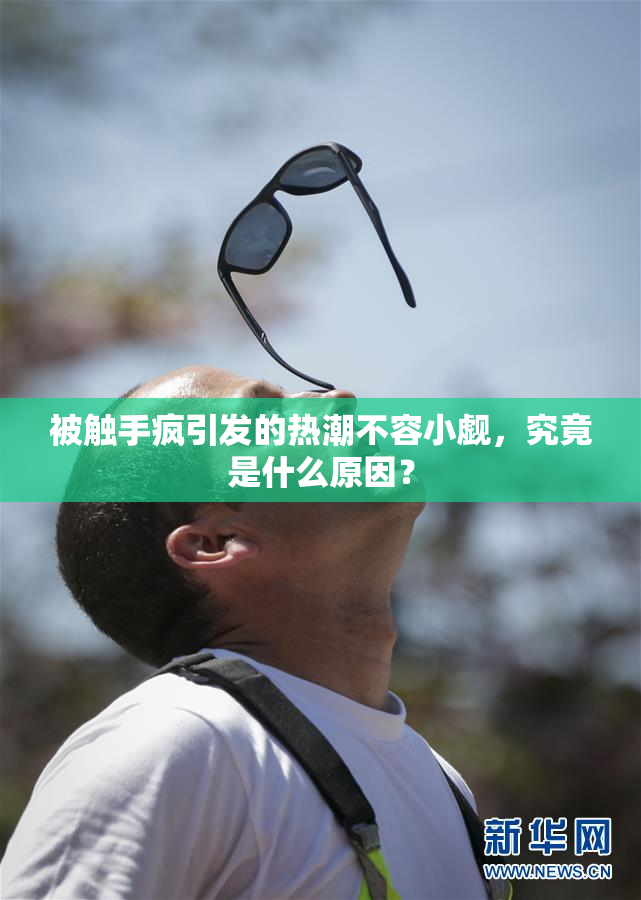 被触手疯引发的热潮不容小觑，究竟是什么原因？