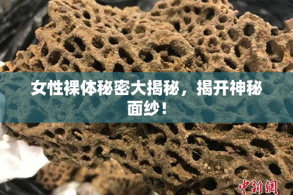 女性裸体秘密大揭秘，揭开神秘面纱！