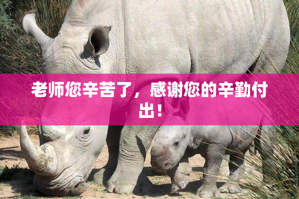 老师您辛苦了，感谢您的辛勤付出！
