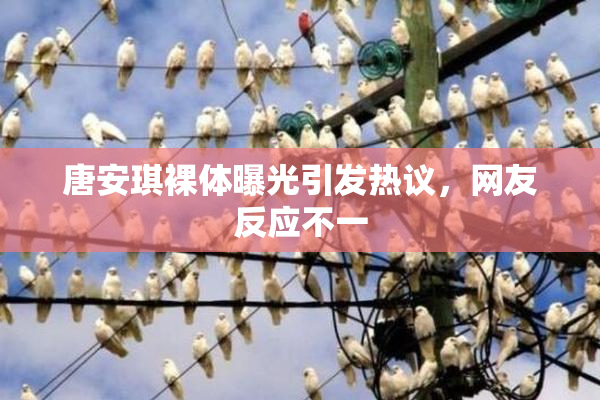 唐安琪裸体曝光引发热议，网友反应不一