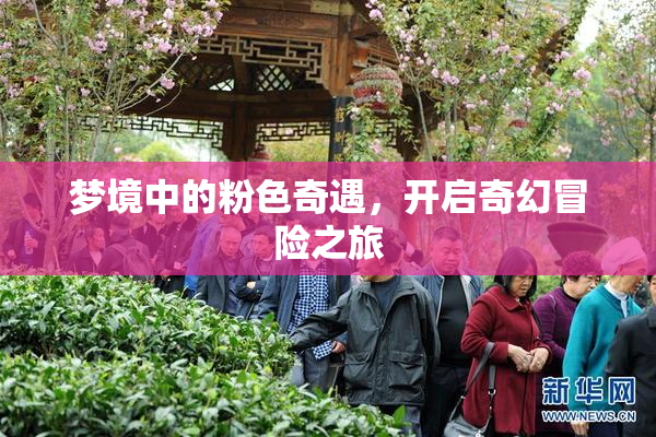 梦境中的粉色奇遇，开启奇幻冒险之旅