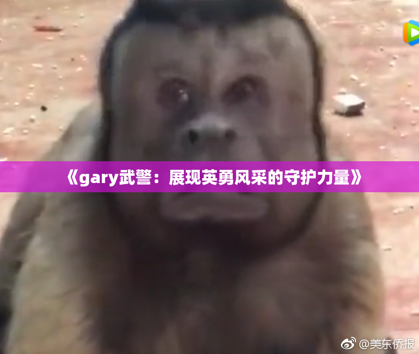 《gary武警：展现英勇风采的守护力量》