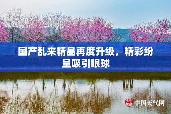 国产乱来精品再度升级，精彩纷呈吸引眼球