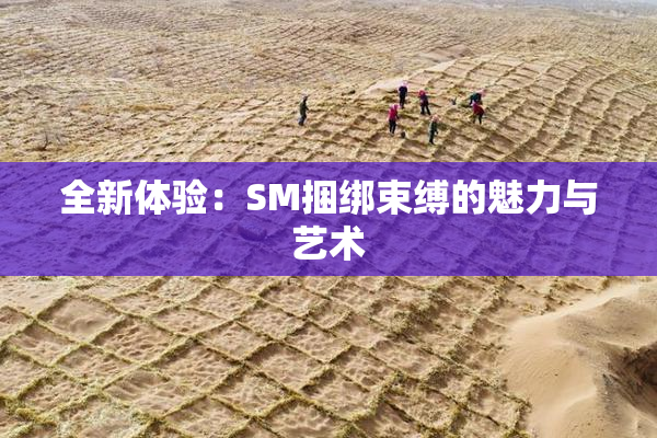 全新体验：SM捆绑束缚的魅力与艺术