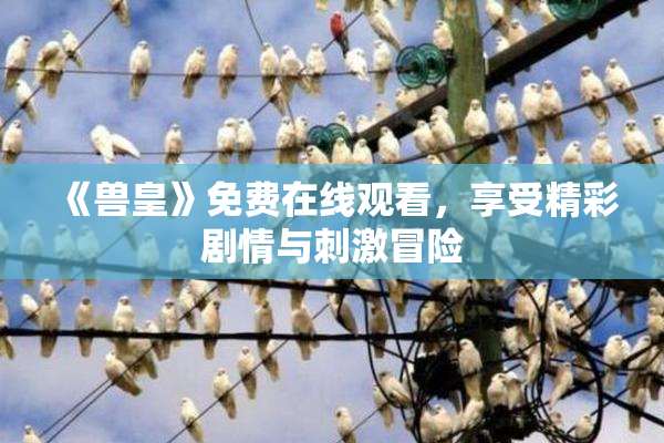 《兽皇》免费在线观看，享受精彩剧情与刺激冒险