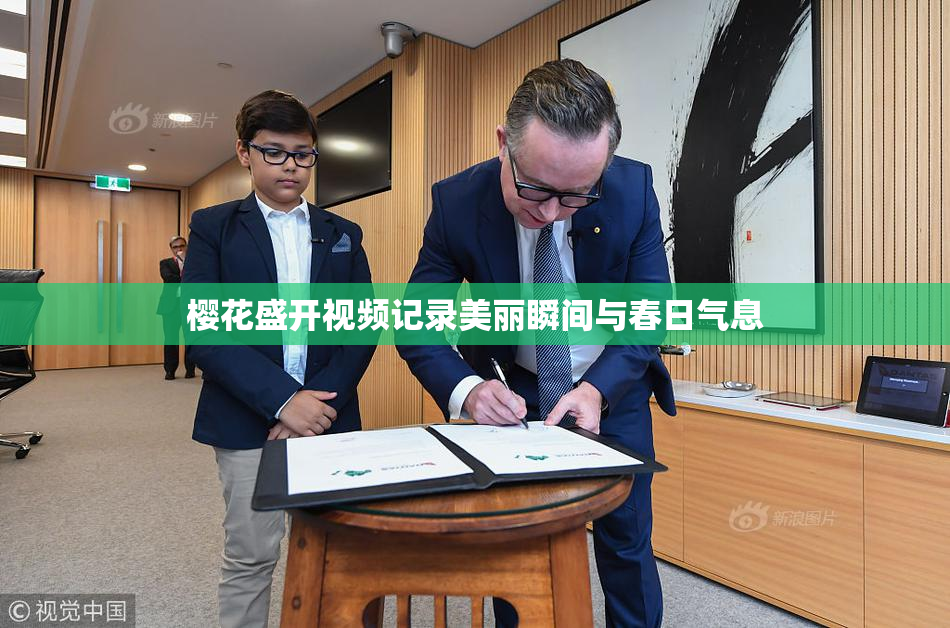 樱花盛开视频记录美丽瞬间与春日气息