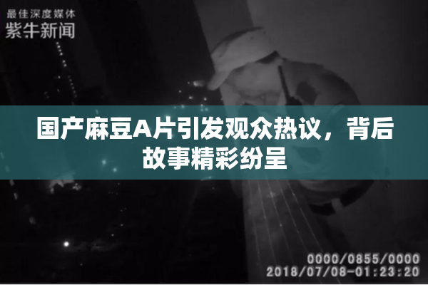 国产麻豆A片引发观众热议，背后故事精彩纷呈