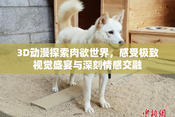 3D动漫探索肉欲世界，感受极致视觉盛宴与深刻情感交融