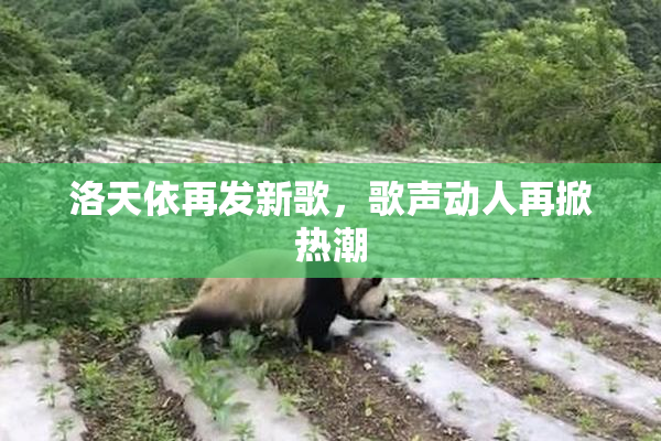 洛天依再发新歌，歌声动人再掀热潮