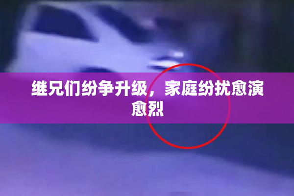 继兄们纷争升级，家庭纷扰愈演愈烈