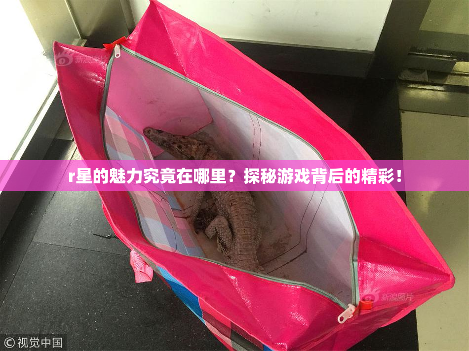 r星的魅力究竟在哪里？探秘游戏背后的精彩！