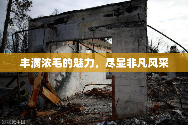 丰满浓毛的魅力，尽显非凡风采
