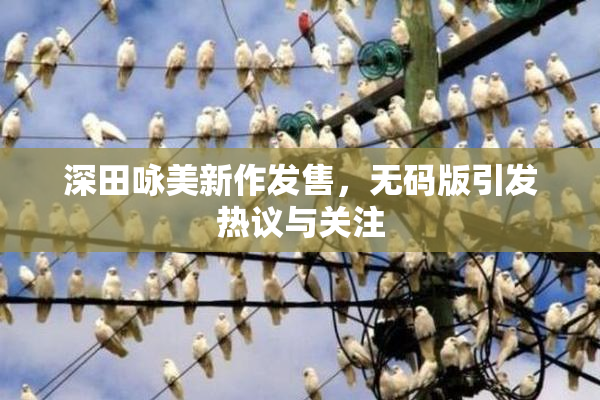 深田咏美新作发售，无码版引发热议与关注