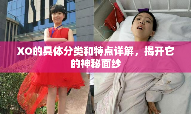XO的具体分类和特点详解，揭开它的神秘面纱