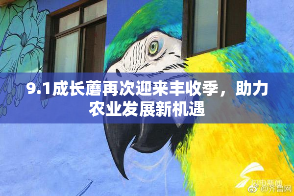9.1成长蘑再次迎来丰收季，助力农业发展新机遇
