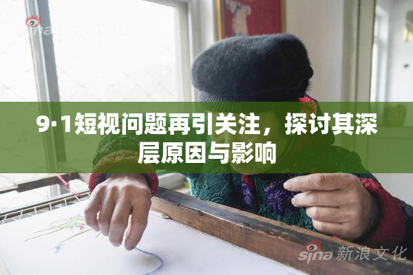 9·1短视问题再引关注，探讨其深层原因与影响