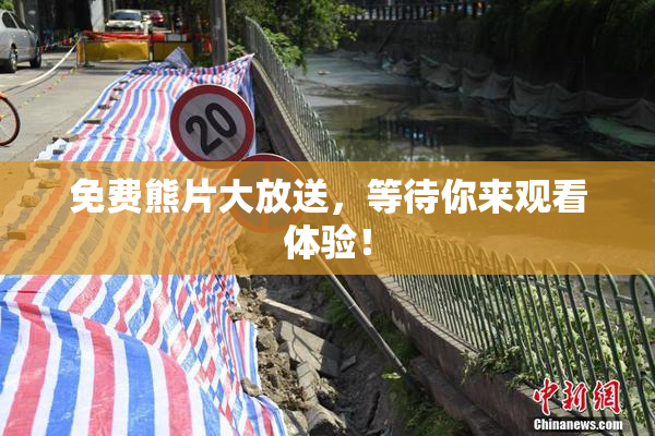 免费熊片大放送，等待你来观看体验！