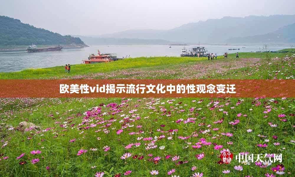 欧美性vid揭示流行文化中的性观念变迁