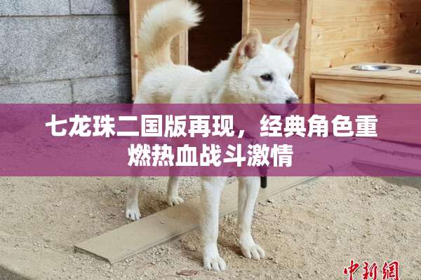七龙珠二国版再现，经典角色重燃热血战斗激情