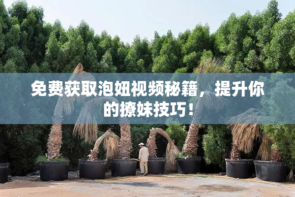 免费获取泡妞视频秘籍，提升你的撩妹技巧！