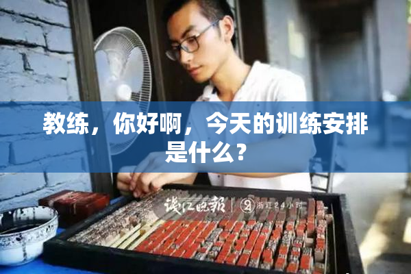 教练，你好啊，今天的训练安排是什么？