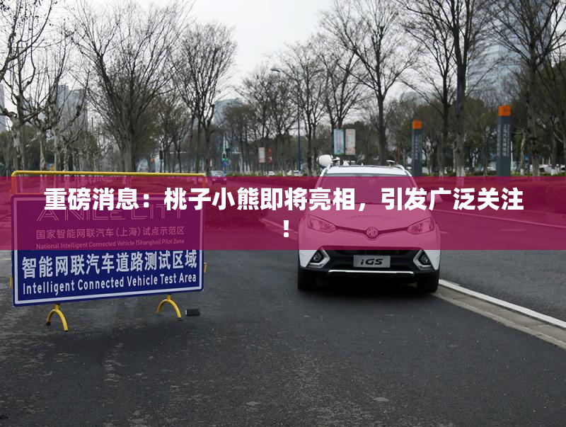 重磅消息：桃子小熊即将亮相，引发广泛关注！