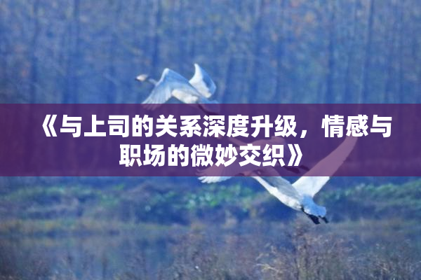 《与上司的关系深度升级，情感与职场的微妙交织》