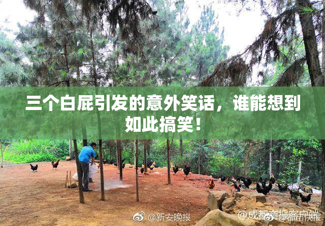 三个白屁引发的意外笑话，谁能想到如此搞笑！