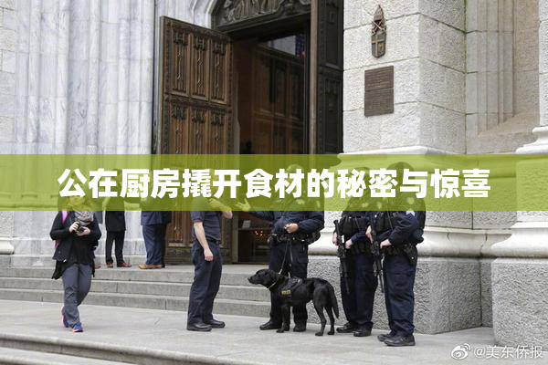 公在厨房撬开食材的秘密与惊喜