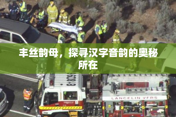 丰丝韵母，探寻汉字音韵的奥秘所在
