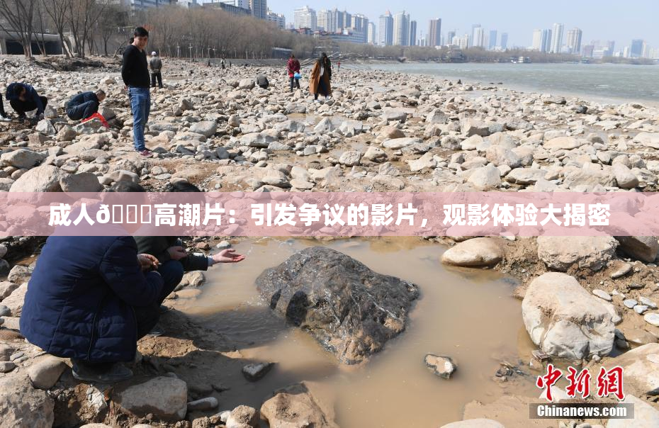 成人🔞高潮片：引发争议的影片，观影体验大揭密