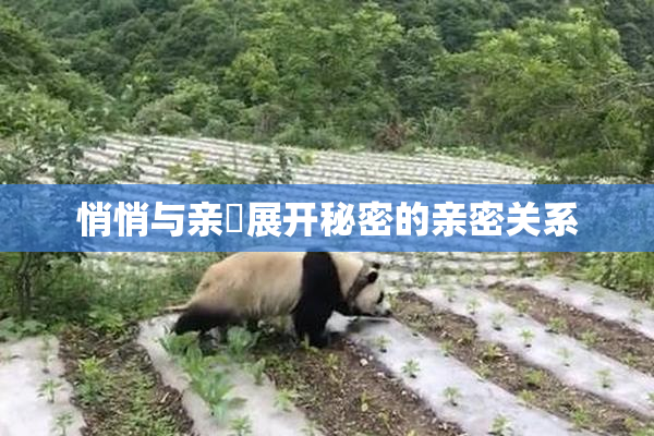 悄悄与亲妺展开秘密的亲密关系