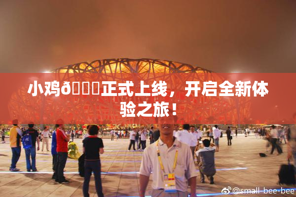 小鸡🐔正式上线，开启全新体验之旅！