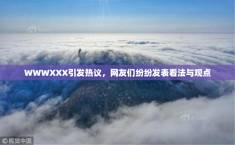 WWWXXX引发热议，网友们纷纷发表看法与观点