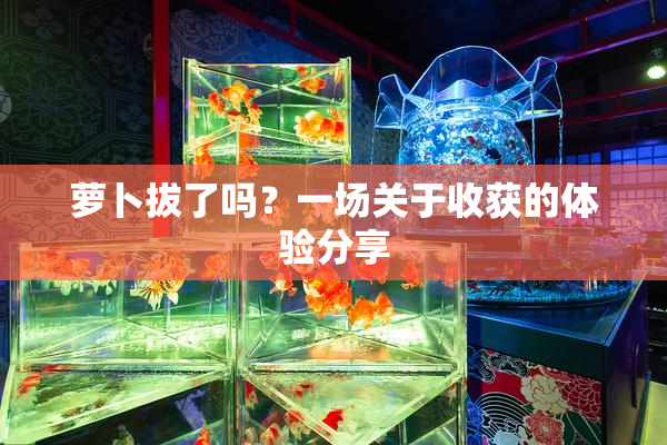 萝卜拔了吗？一场关于收获的体验分享