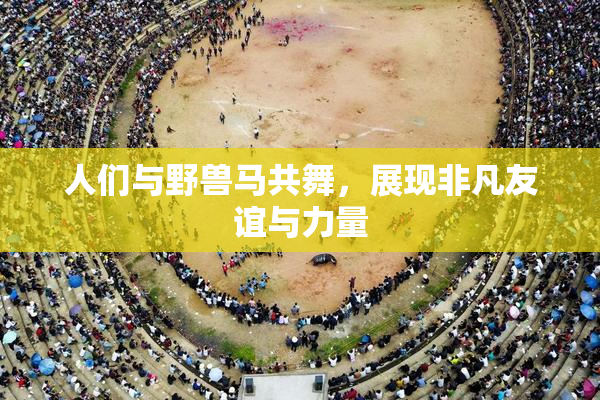 人们与野兽马共舞，展现非凡友谊与力量
