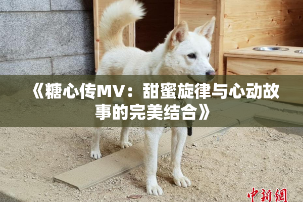 《糖心传MV：甜蜜旋律与心动故事的完美结合》