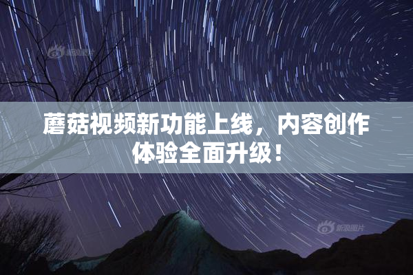 蘑菇视频新功能上线，内容创作体验全面升级！