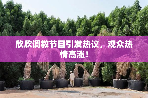 欣欣调教节目引发热议，观众热情高涨！