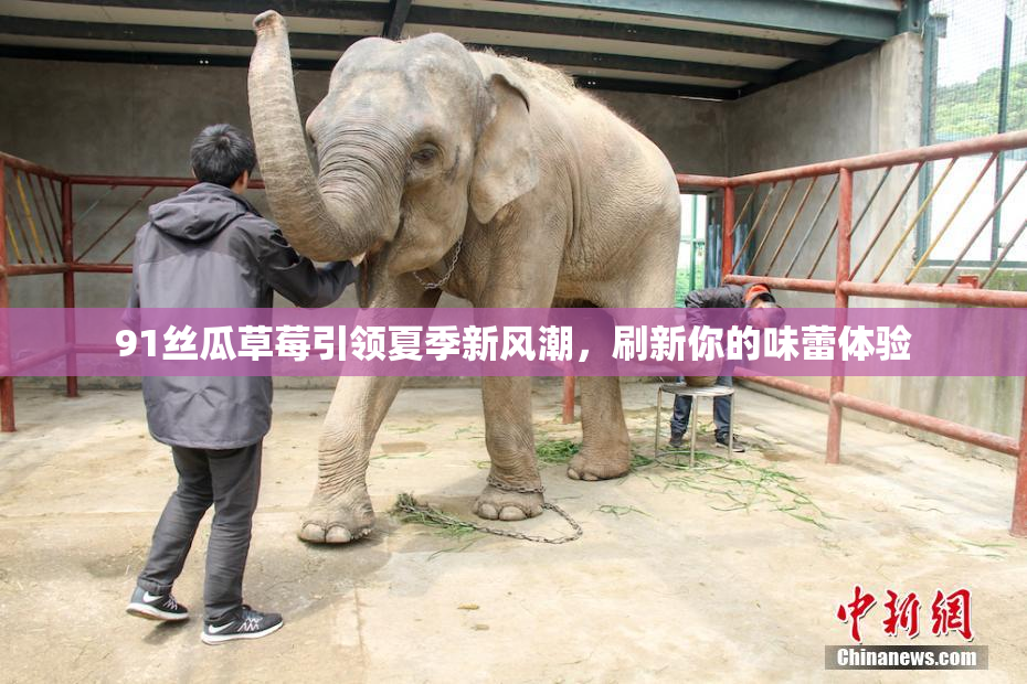 91丝瓜草莓引领夏季新风潮，刷新你的味蕾体验