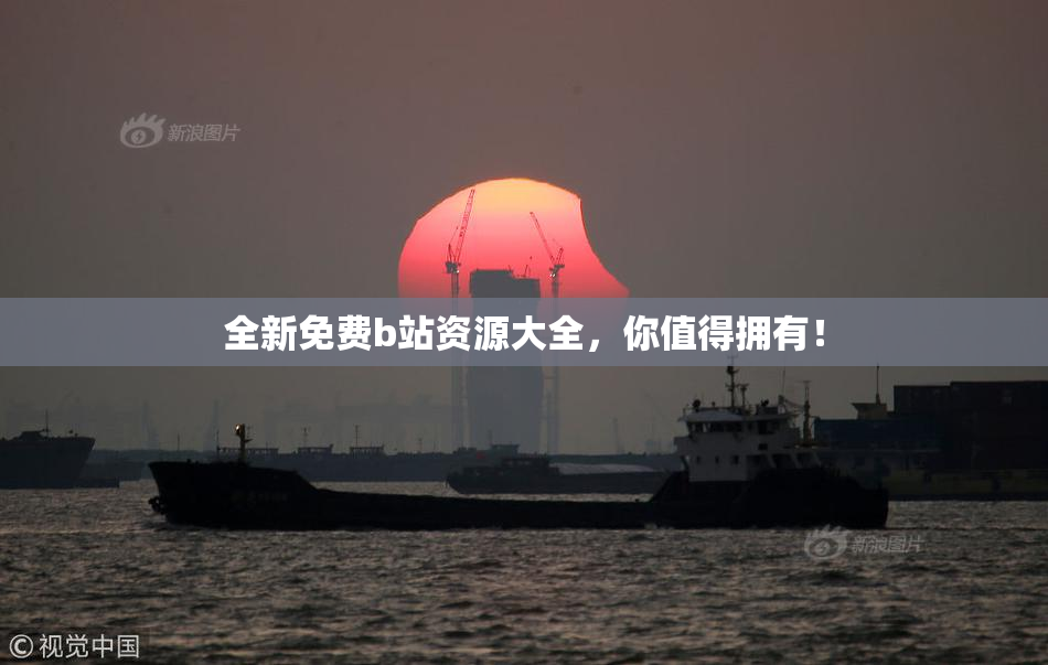 全新免费b站资源大全，你值得拥有！