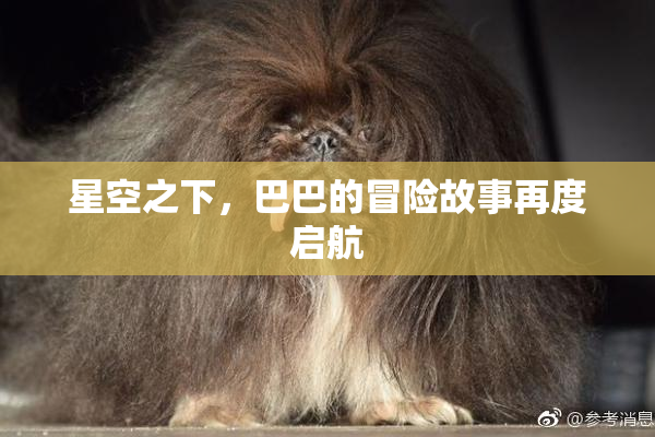 星空之下，巴巴的冒险故事再度启航