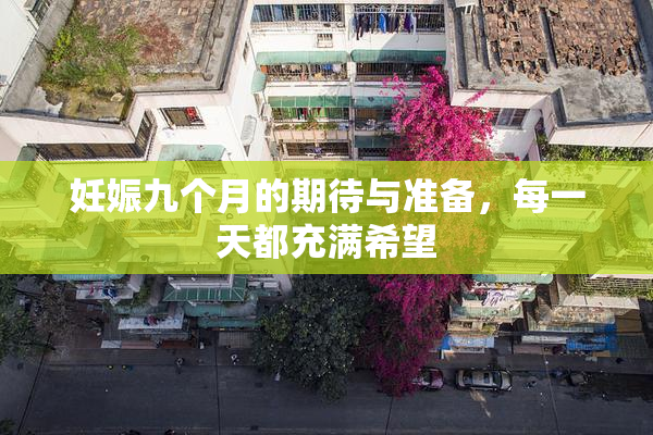 妊娠九个月的期待与准备，每一天都充满希望