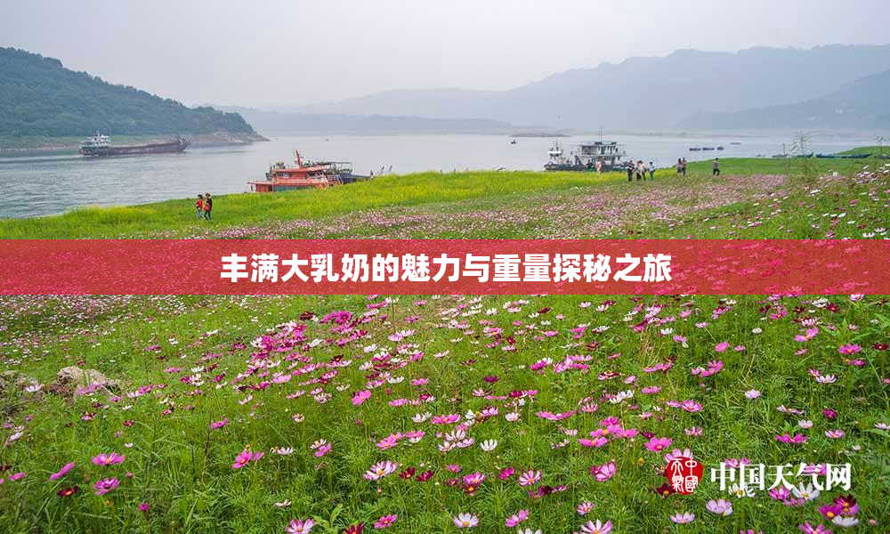 丰满大乳奶的魅力与重量探秘之旅