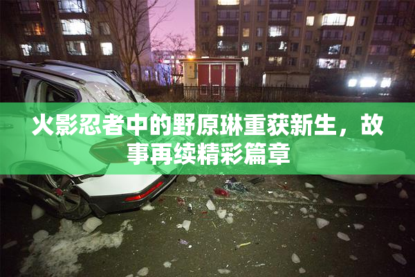 火影忍者中的野原琳重获新生，故事再续精彩篇章