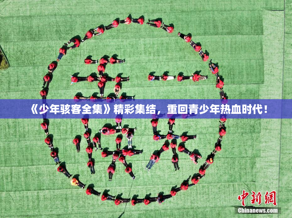 《少年骇客全集》精彩集结，重回青少年热血时代！