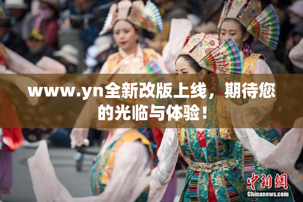 www.yn全新改版上线，期待您的光临与体验！