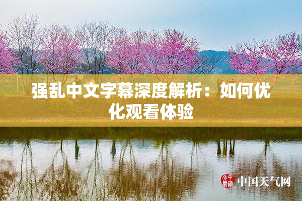 强乱中文字幕深度解析：如何优化观看体验