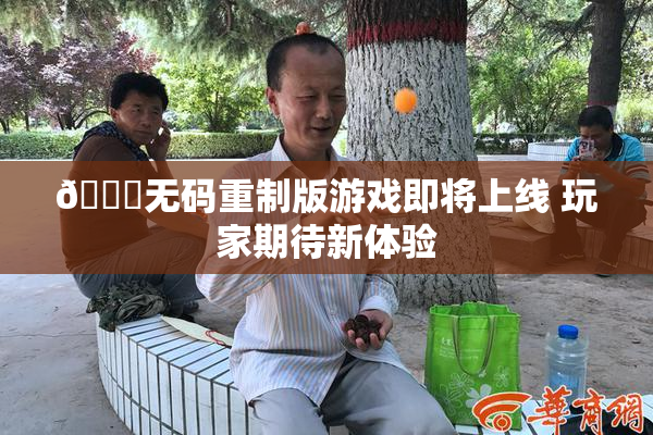 🔞无码重制版游戏即将上线 玩家期待新体验