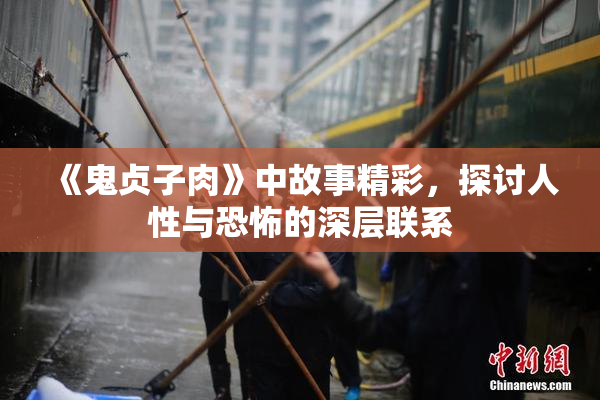《鬼贞子肉》中故事精彩，探讨人性与恐怖的深层联系